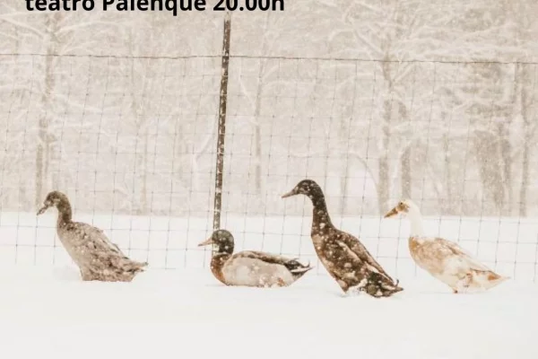 Actuación de Navidad a beneficio de la asociación KSEMAN