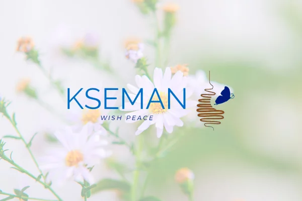 Balance Económico del 2022