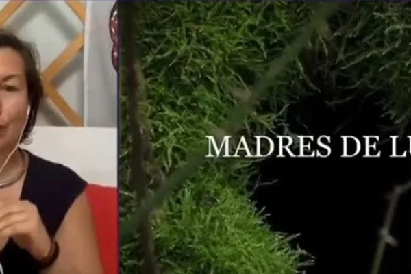 Entrevista sobre acompañamiento al duelo perinatal