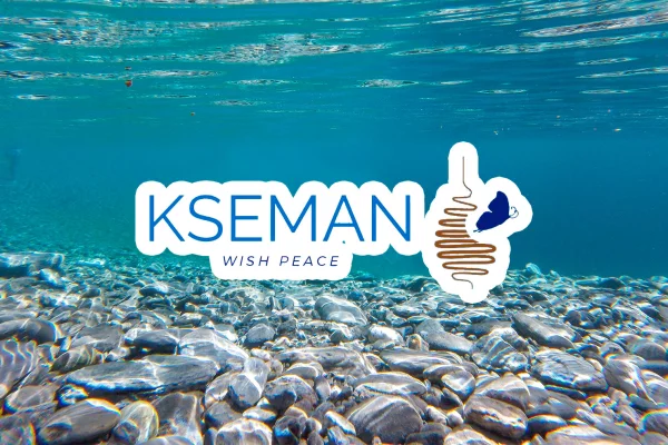 Todo lo que KSEMAN ha hecho en 2022